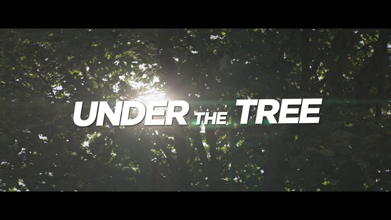 UNDER THE TREE - Bande annonce officielle - Au cinéma le 15 août
