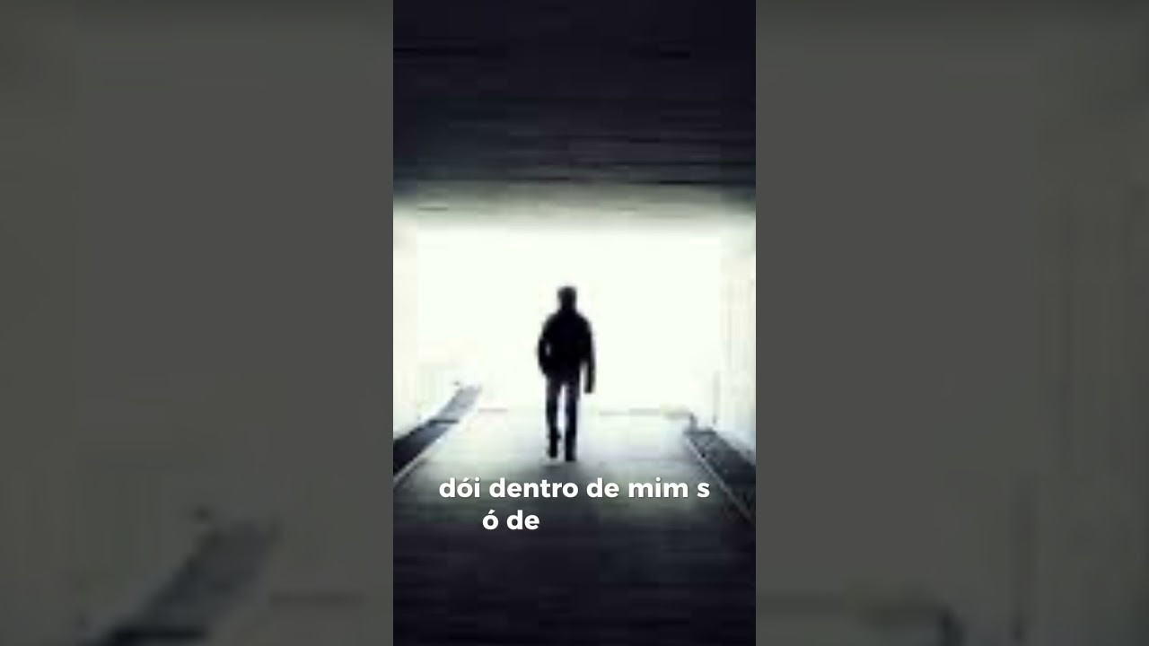 18 de novembro de 2024