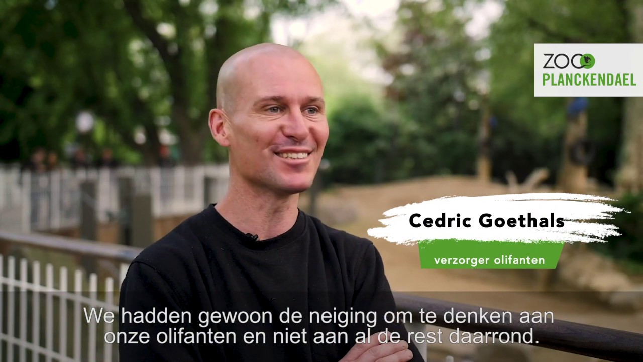 Hiep hiep hoera! Kai-Mook wordt 10 jaar!