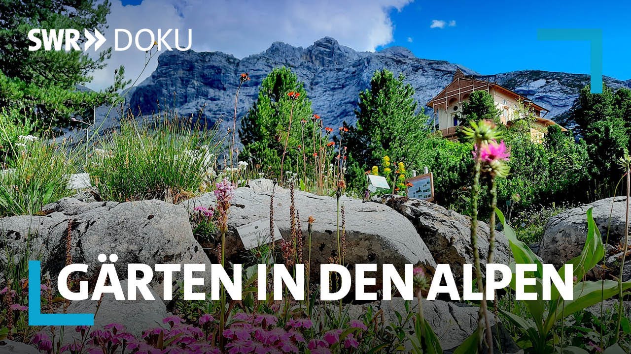 Zwischen Almen und Palmen - G&auml;rten in den Alpen | SWR Doku