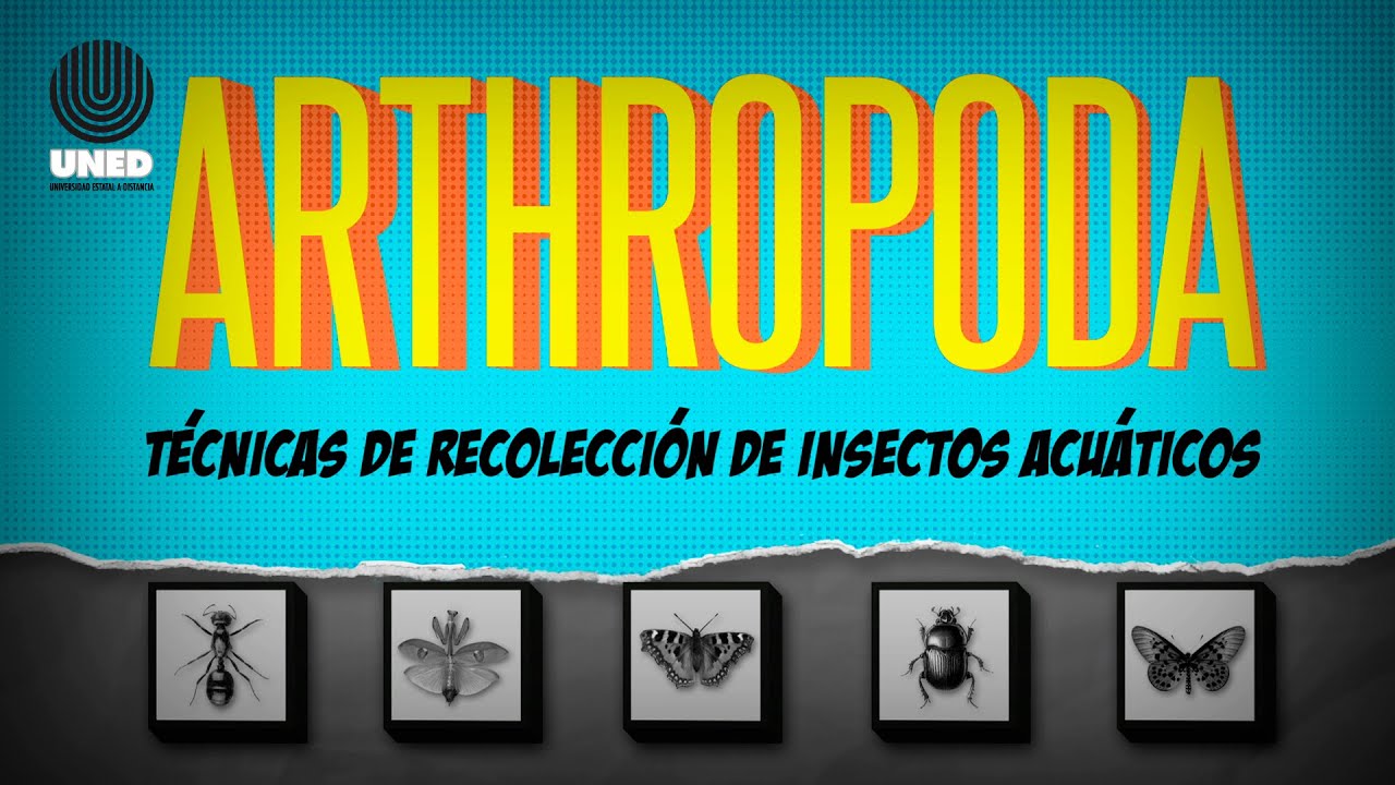 ARTHROPODA Capítulo 5, Técnicas de recolección de insectos acuáticos