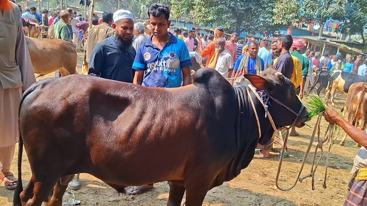 @আজ ১৭ ফেব্রুয়ারী