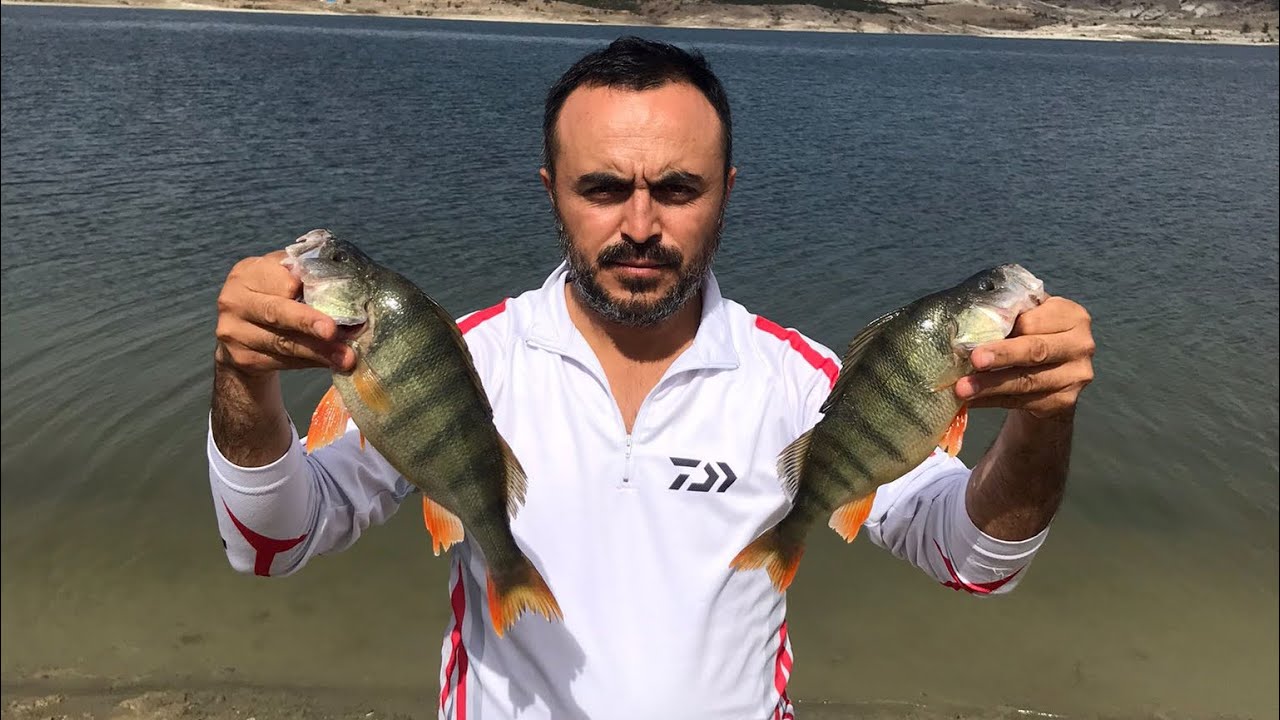 ÇAMLIDERE PERCH AVI (PEŞ PEŞE İRİ BOYLAR GELDİ)