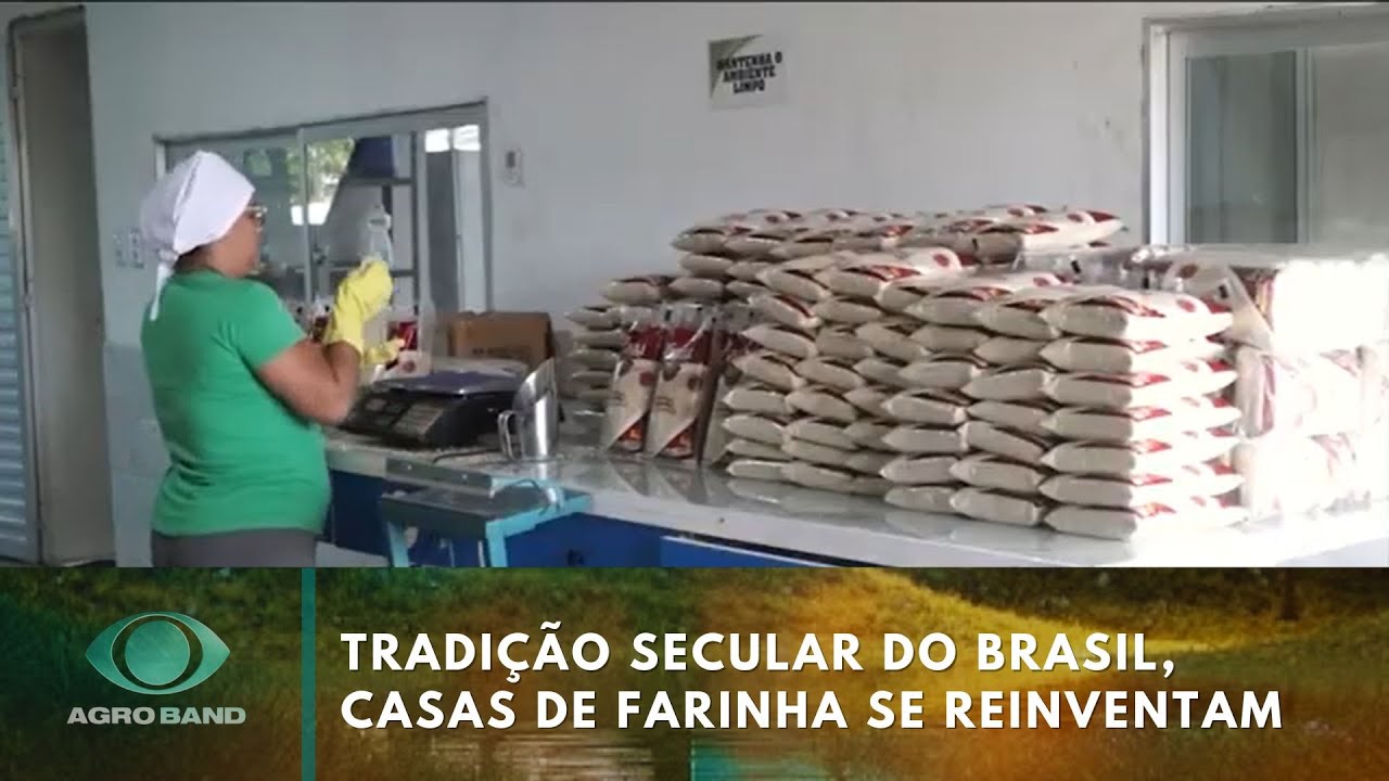 Tradição secular do Brasil, casas de farinha se reinventam e resistem | Agro Band