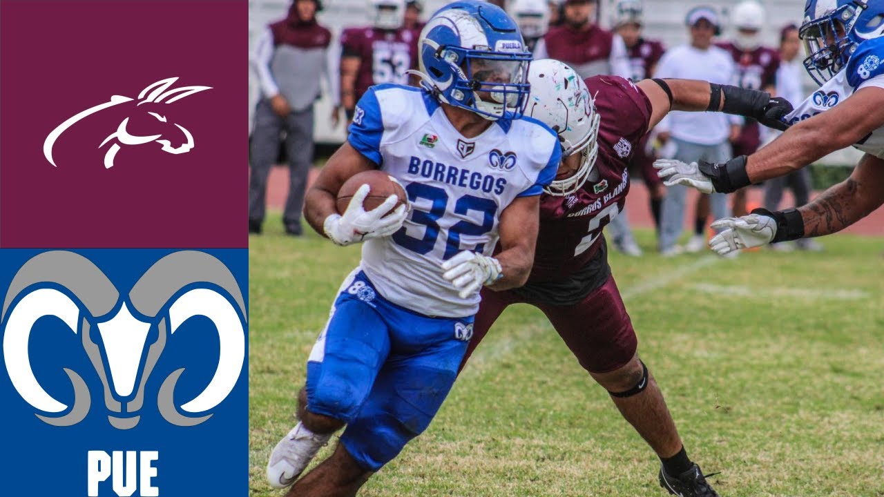 Burros Blancos vs Borregos Puebla (Highlights) | Semana 9 Liga Mayor 2025 ONEFA