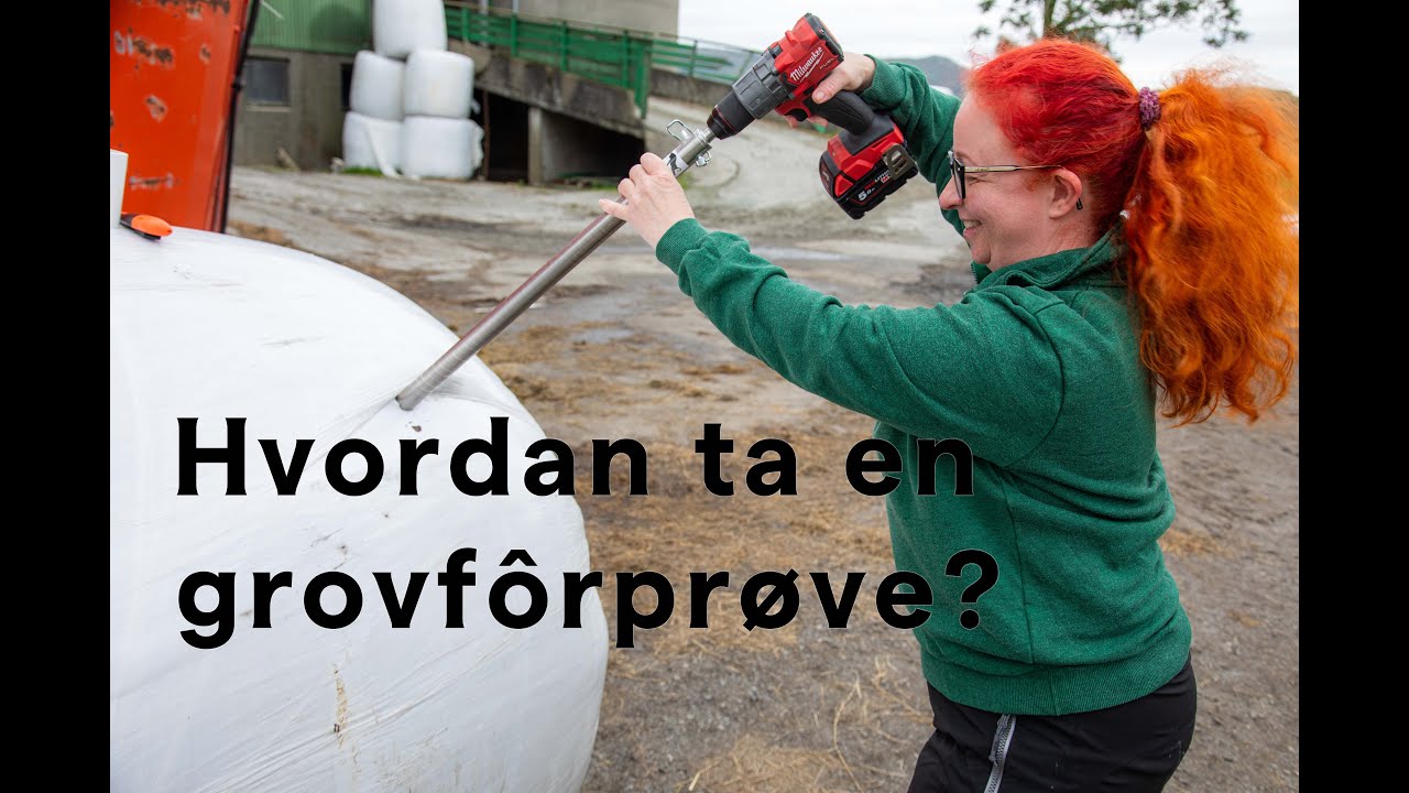 Hvordan ta en grovfôranalyse?