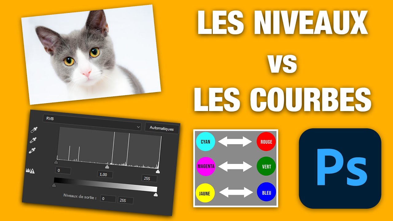 Photoshop Comprendre Le Réglage Niveaux (vs Courbes)