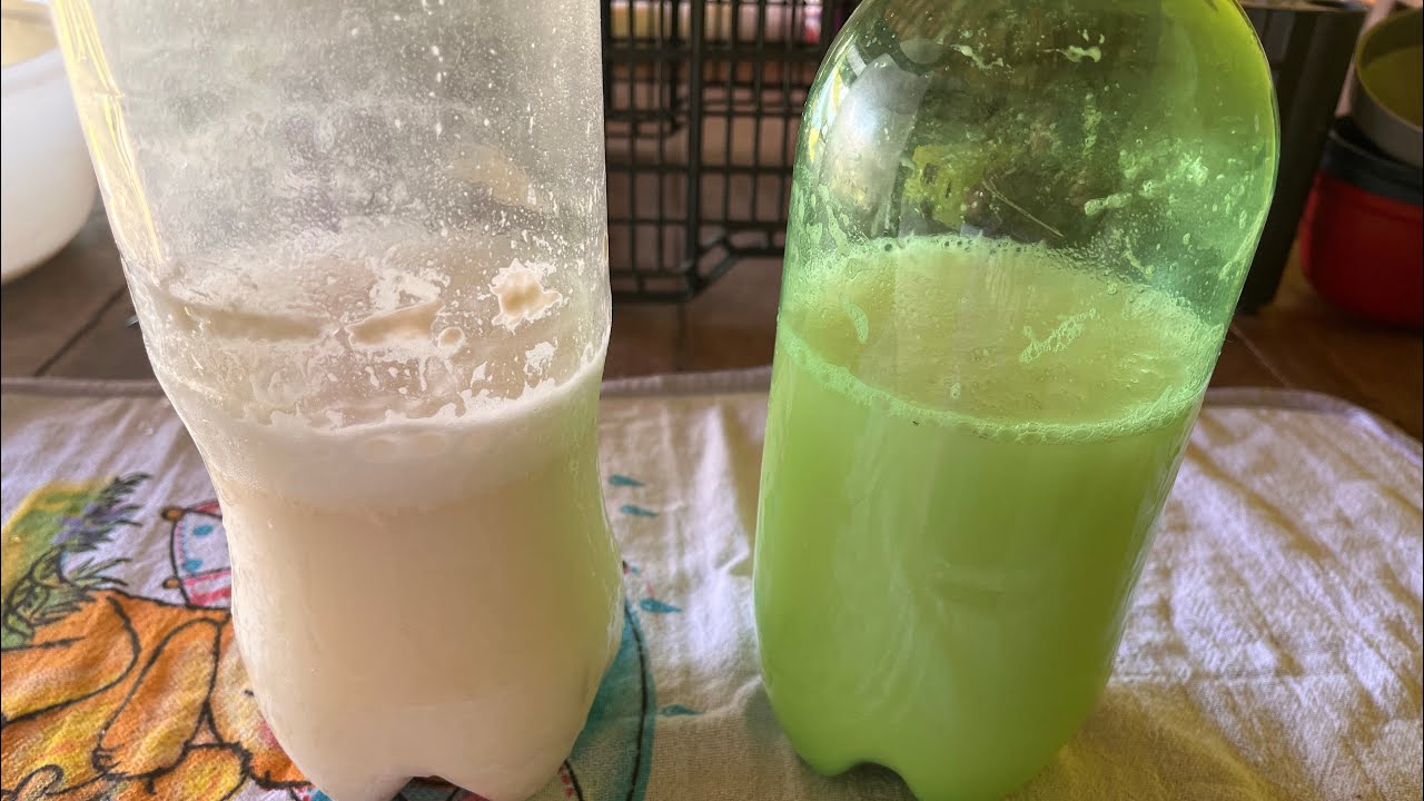 FERMENTO NATURAL ÁCIDO?VAMOS RECUPERAR