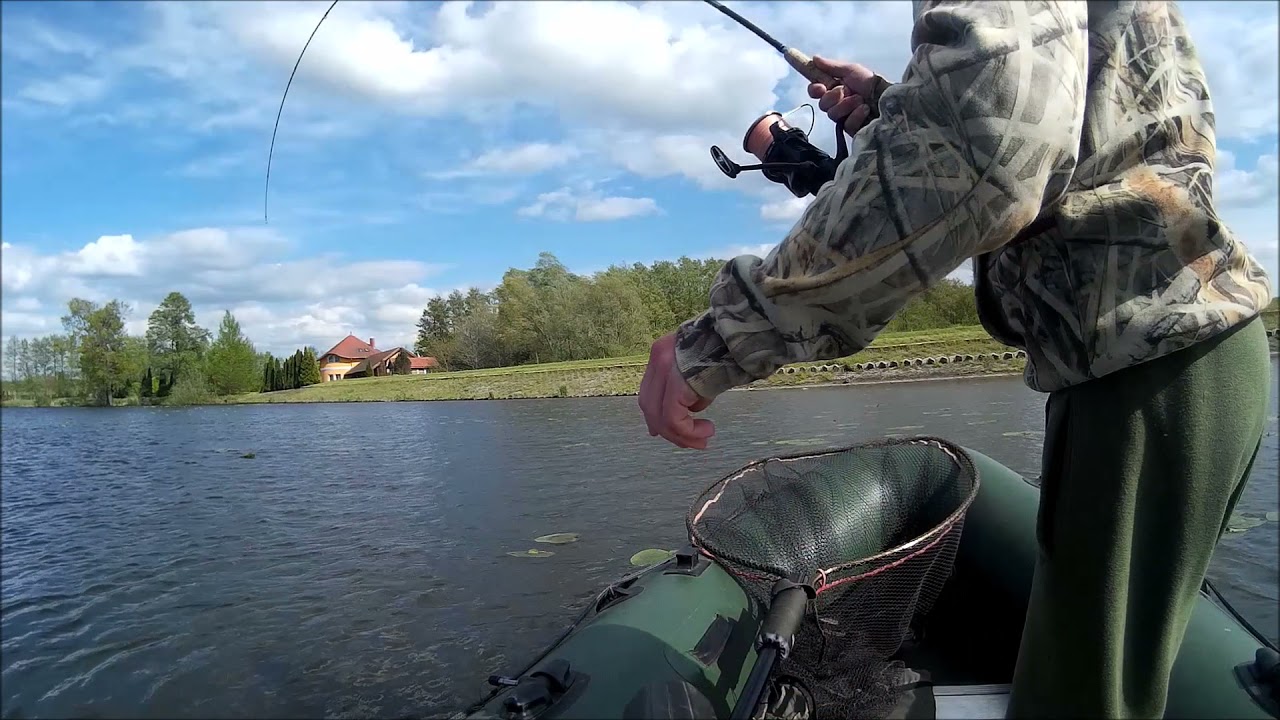 Keen Carp V.I.P Green Hell