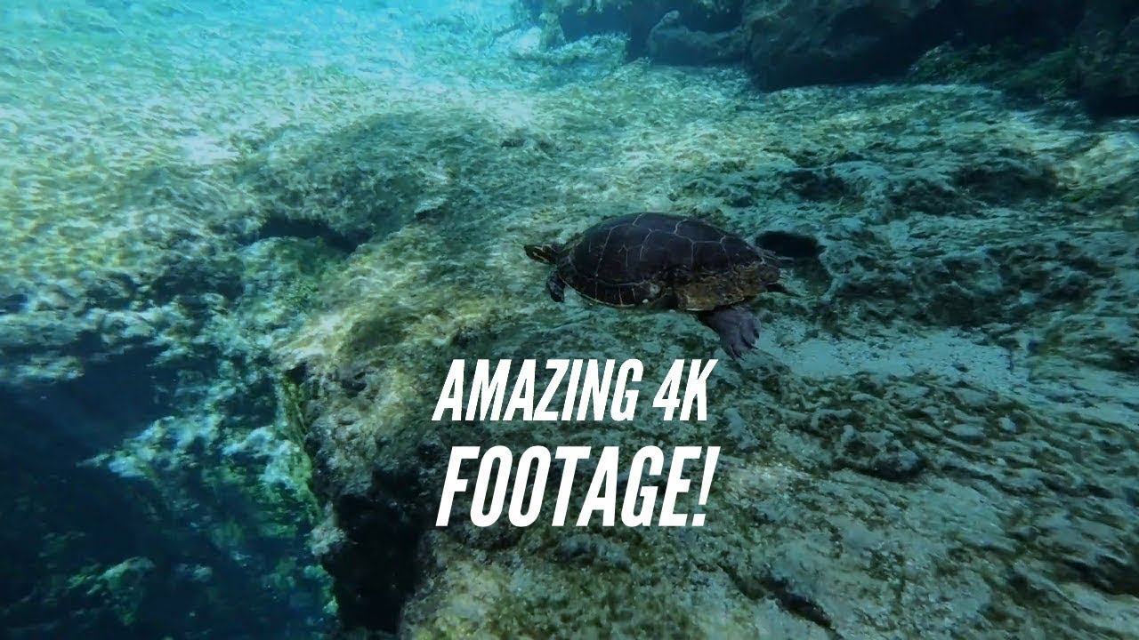 Amazing 4k Underwater Footage - GoPro Hero 6 [HD]