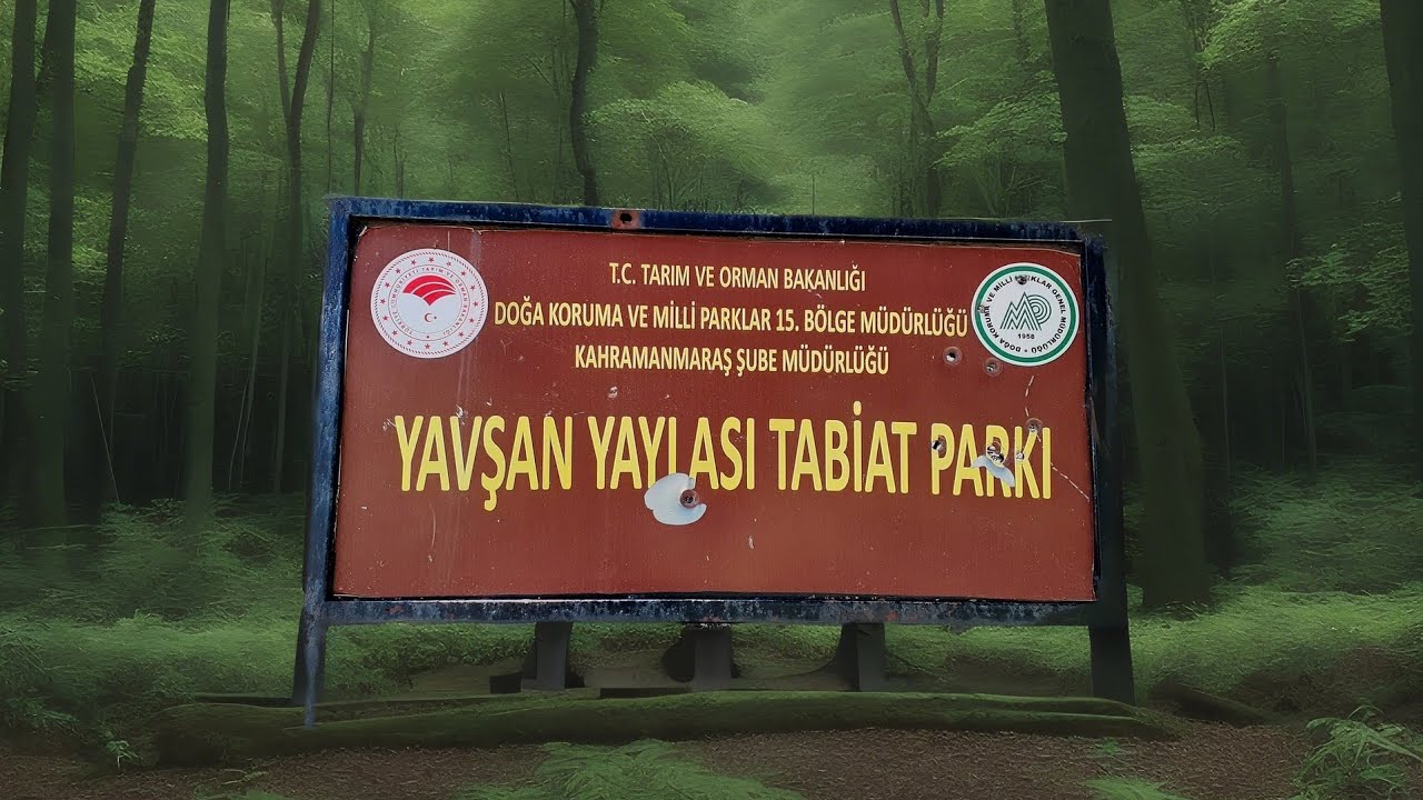 Yavşan Yaylası