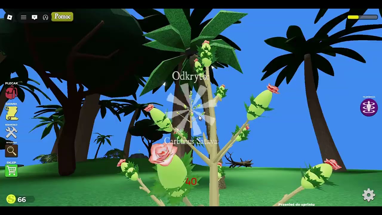 Gram w backrums i spodkałem spandżboba shreka  w roblox