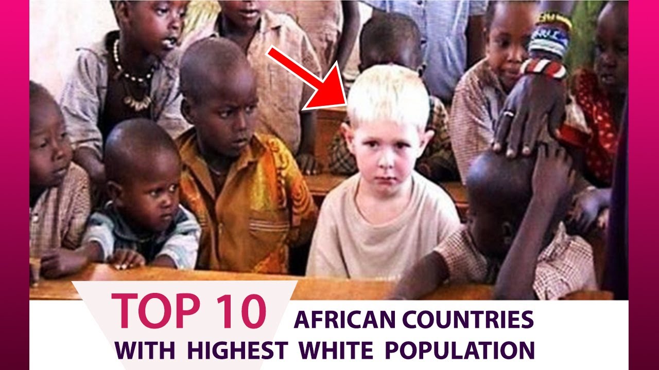Top 10 African countries with the Highest White population 2023 #africatotheworld #africatravels