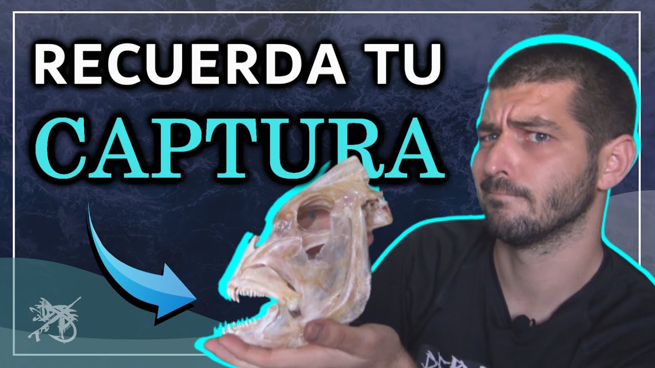 🏆 Crea TROFEOS de PESCA con la DENTADURA del PEZ en 7 PASOS ❗❗❗