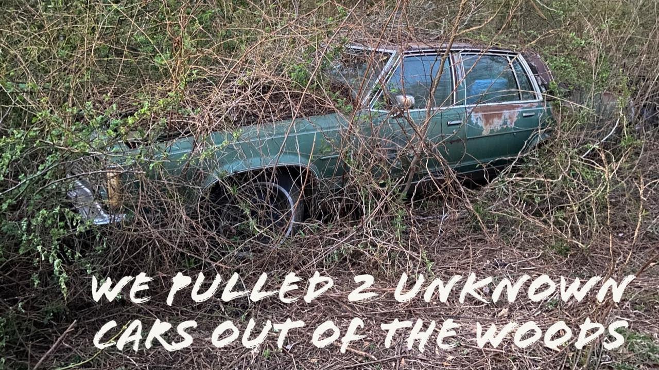 We pulled a '89 Mustang and a '78 Oldsmobile out of the woods!