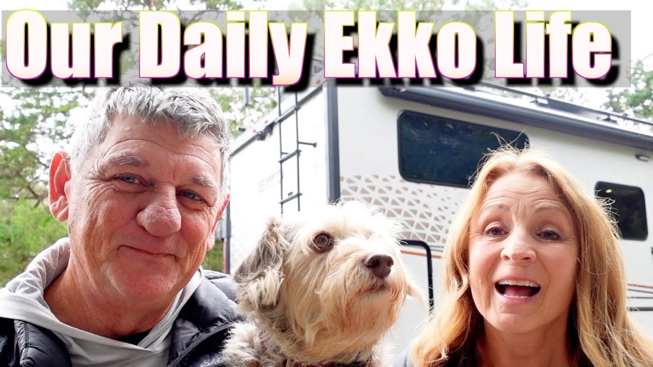 Ever Wondered What A Real Day With VTL Is Like In Our Ekko?