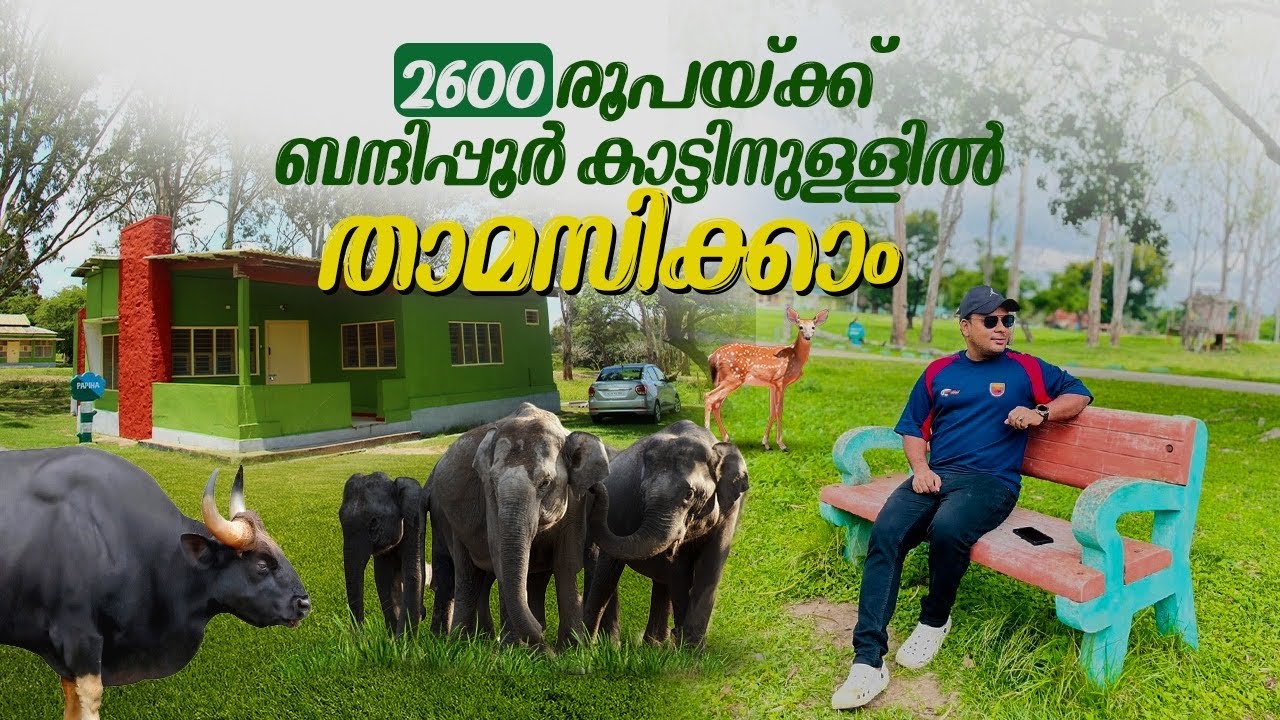 Bandipur National Park Guest House | 2600 രൂപയ്ക്ക് ബന്ദിപ്പൂർ കാടിനുള്ളിൽ താമസിക്കാം |