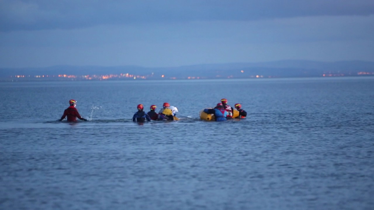 Largo Whale