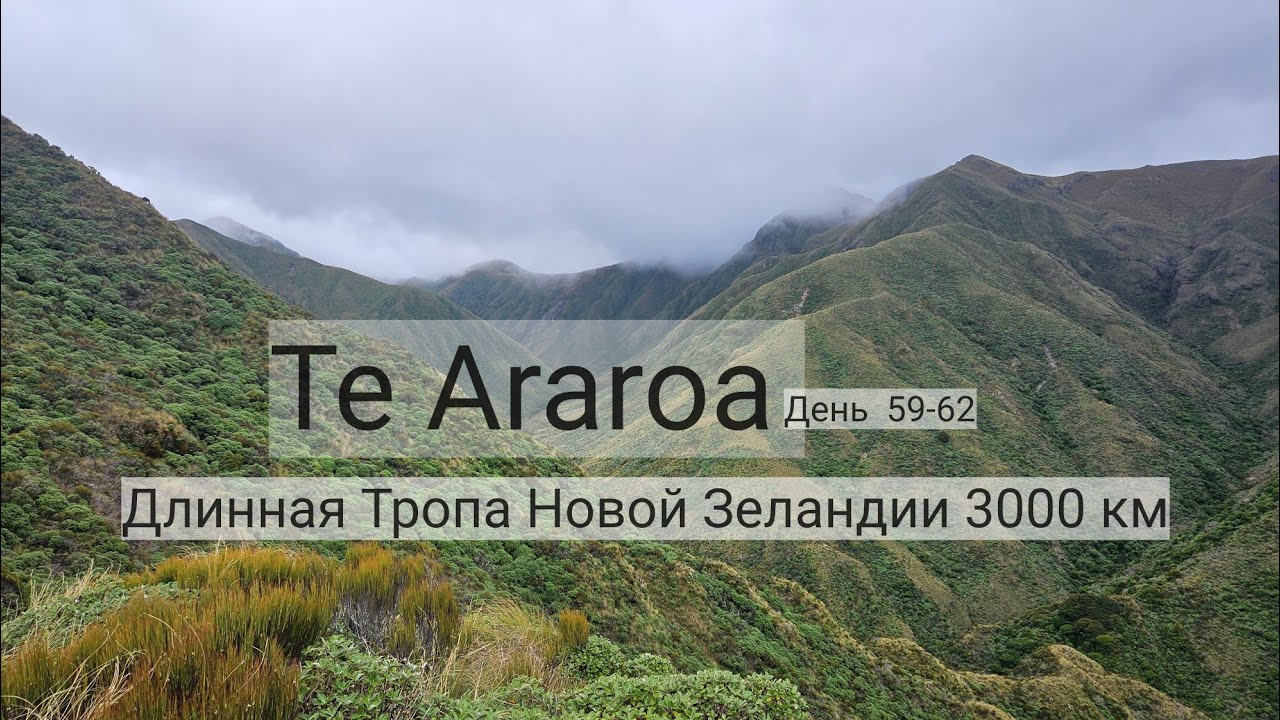 12. Te Araroa - Длинная Тропа Новой Зеландии 3000 км. День 59-62