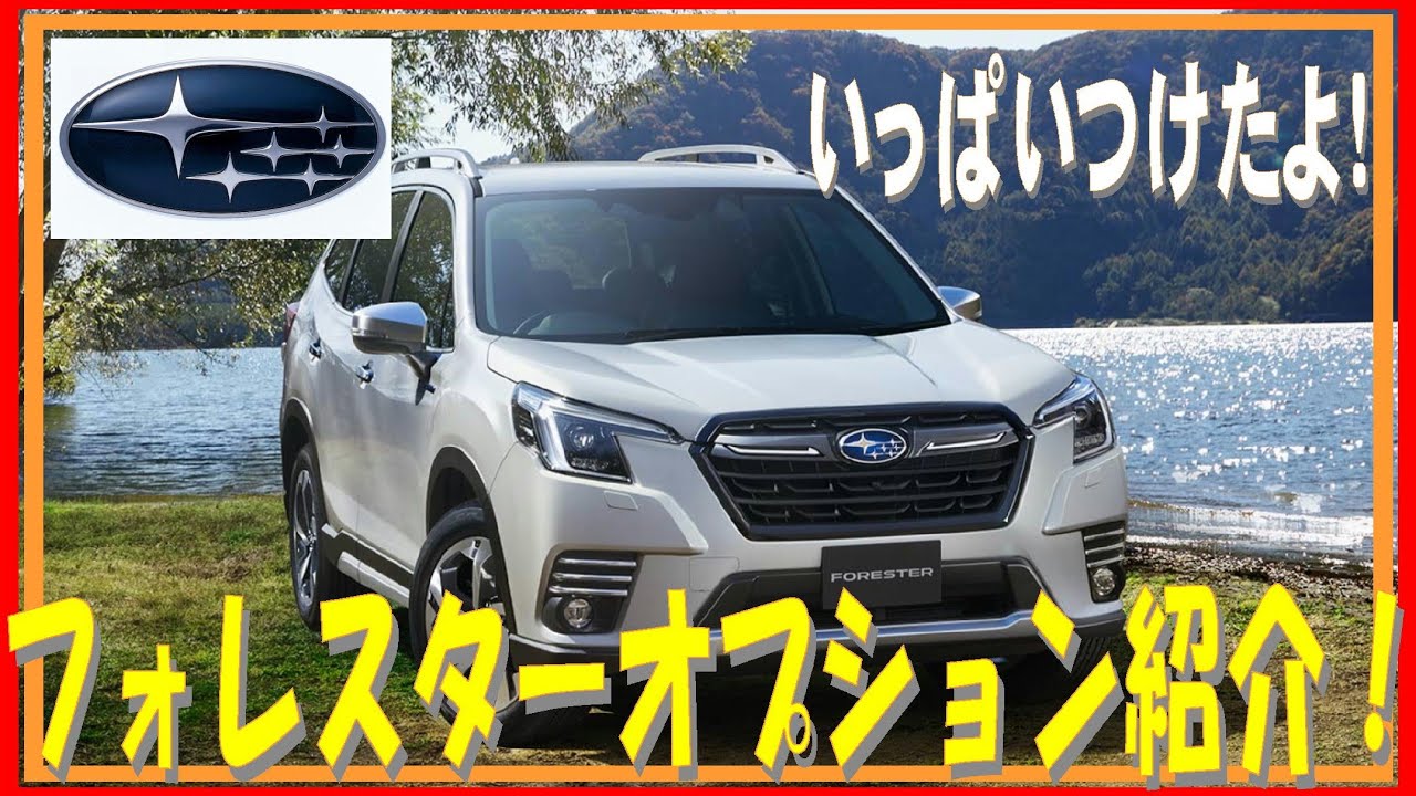 166 購入したフォレスターのオプションを紹介します！