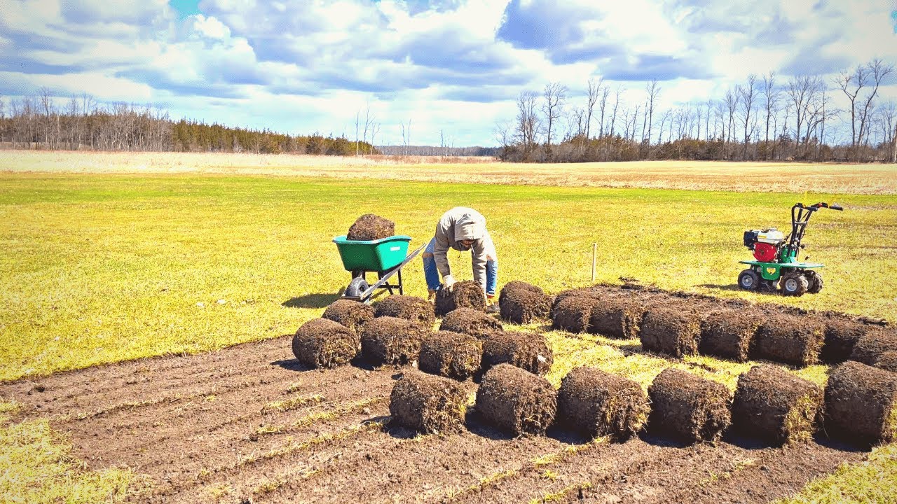 Garden preperation | Putting in a new garden (Part 1)