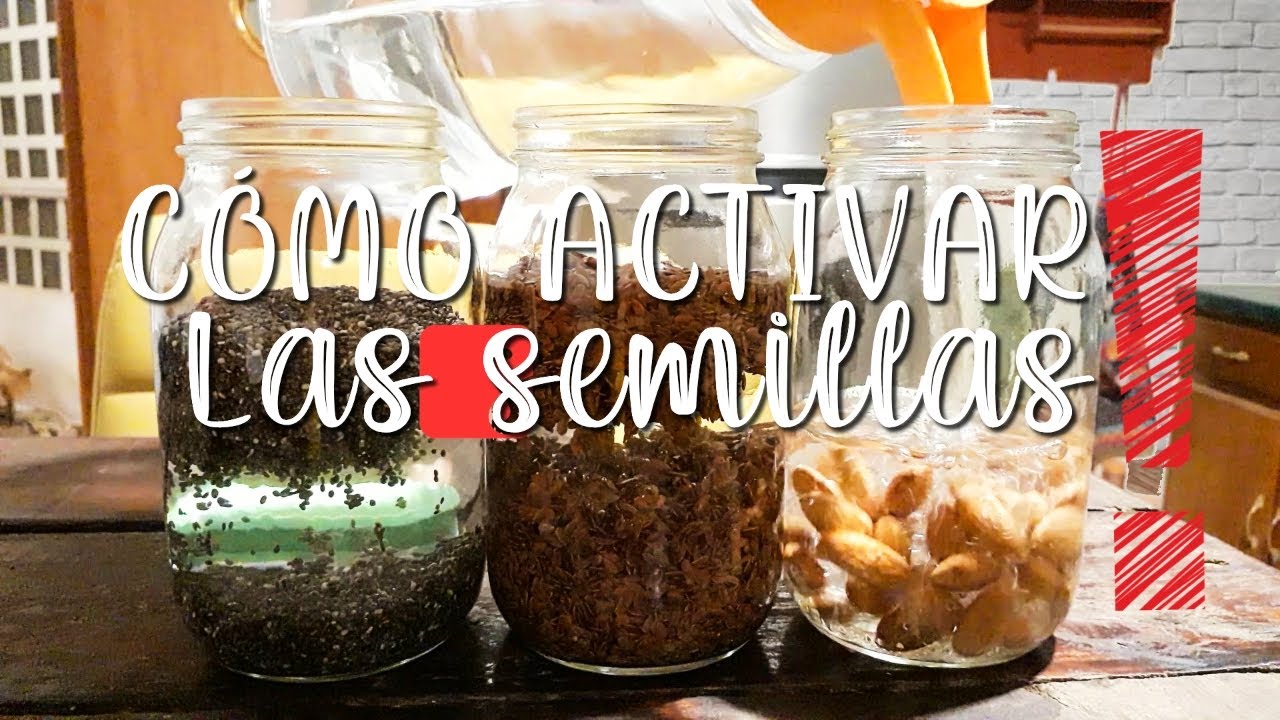 &iquest;c&Oacute;MO ACTIVAR LAS SEMILLAS? CH&Iacute;A LINAZA & ALMENDRAS mejora la absorci&oacute;n de nutrientes.