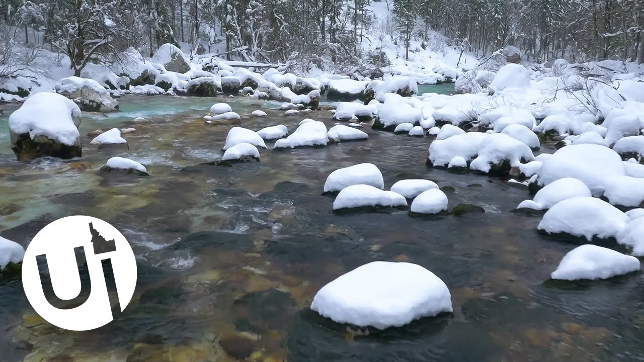 Winter Wonderland: Silent Idaho