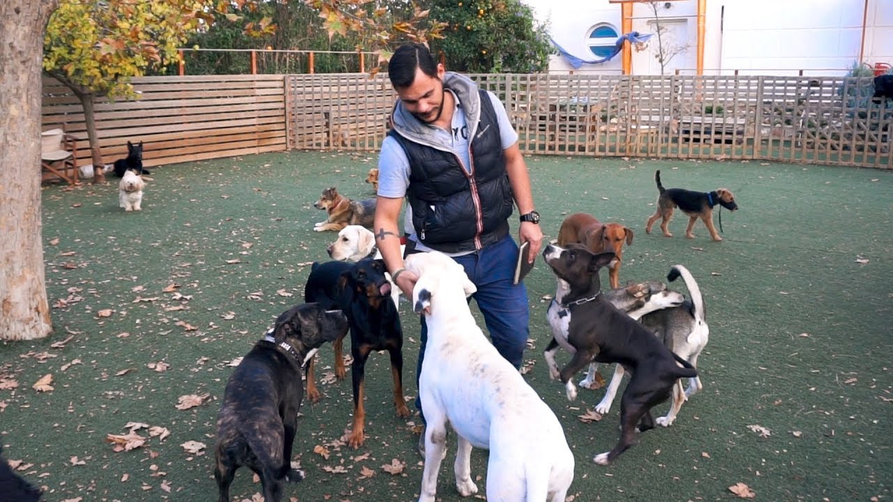 Πως μαθαίνουμε την εντολή 