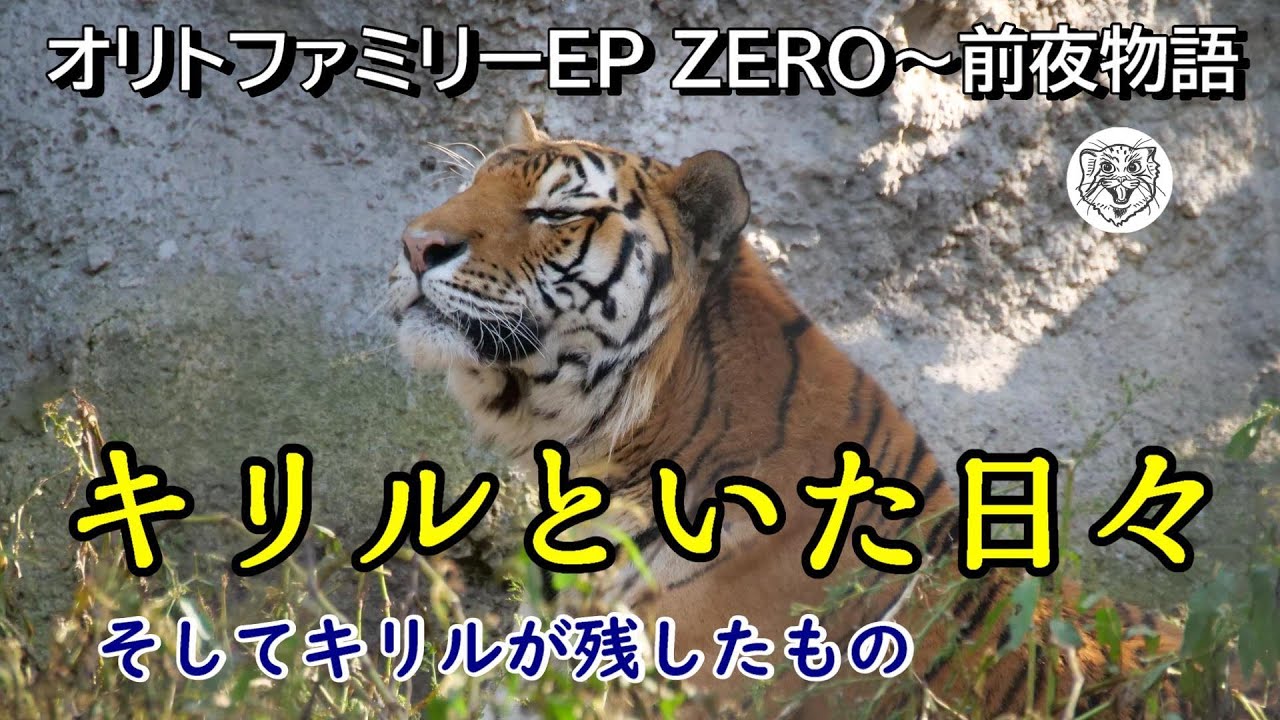 【オリトファミリー前夜物語】キリルといた日々🦁🐯Memories of Cyrillic🌈Orito Family Episode Zero
