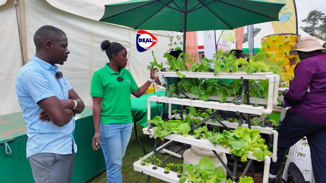 Urban Farming Revolution 🌆🚜 | Inside Urban Greens Ltd’s Sustainable Model