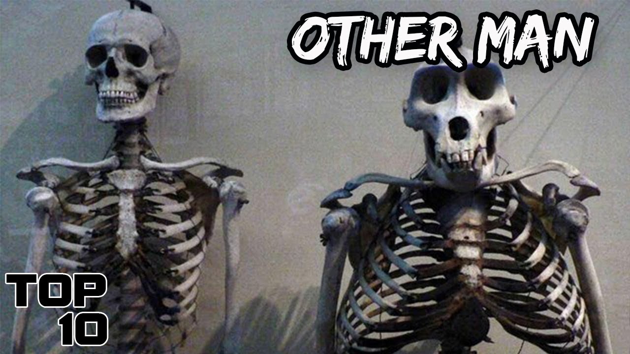 Top 10 Scary Parallel Universe Stories That Might Be True