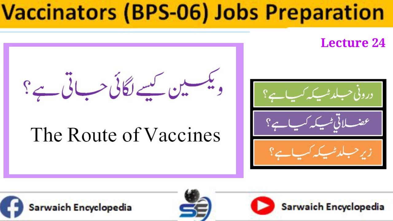 The Route o Vaccines| Intradermal, Intramuscular & Subcutaneous Vaccine | EPI Vaccines Details