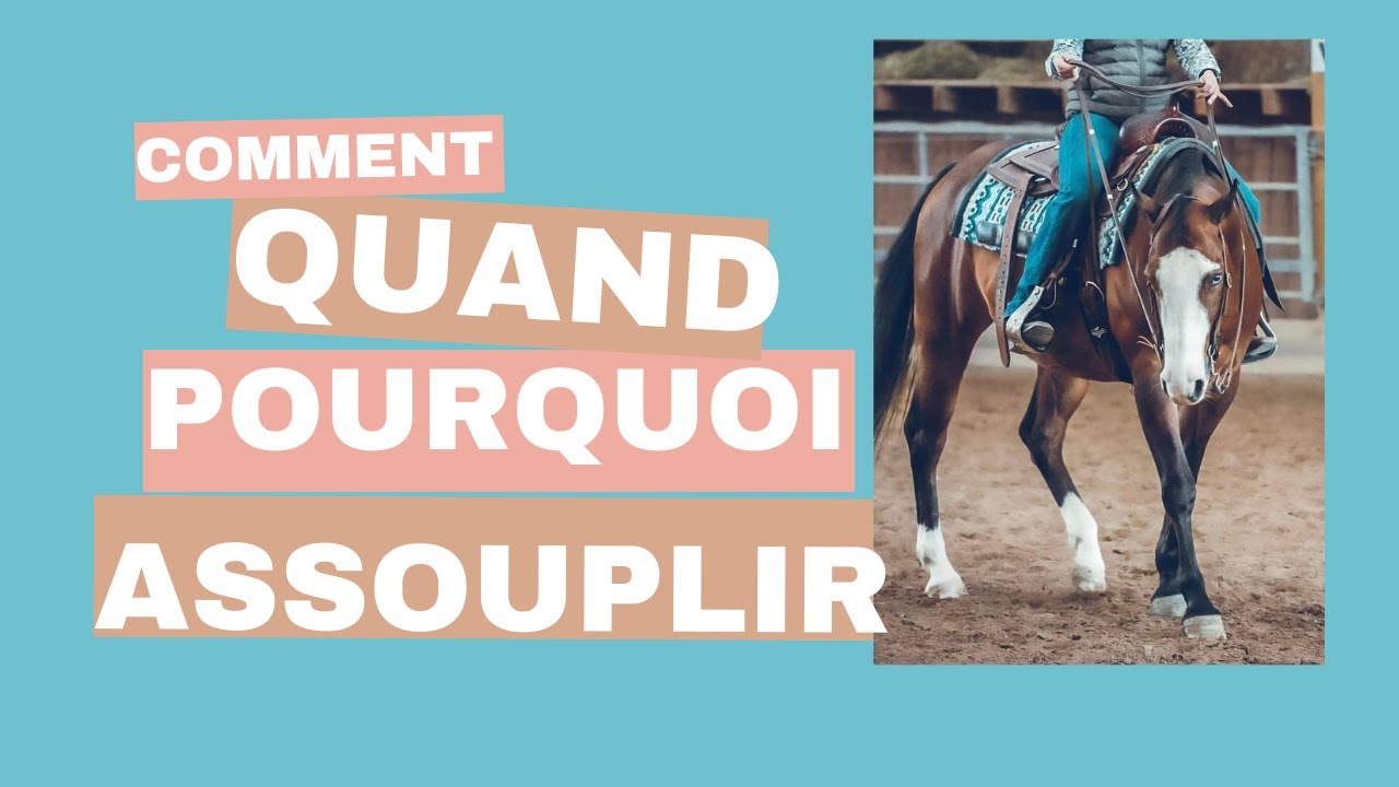 Comment, quand, pourquoi assouplir cheval!