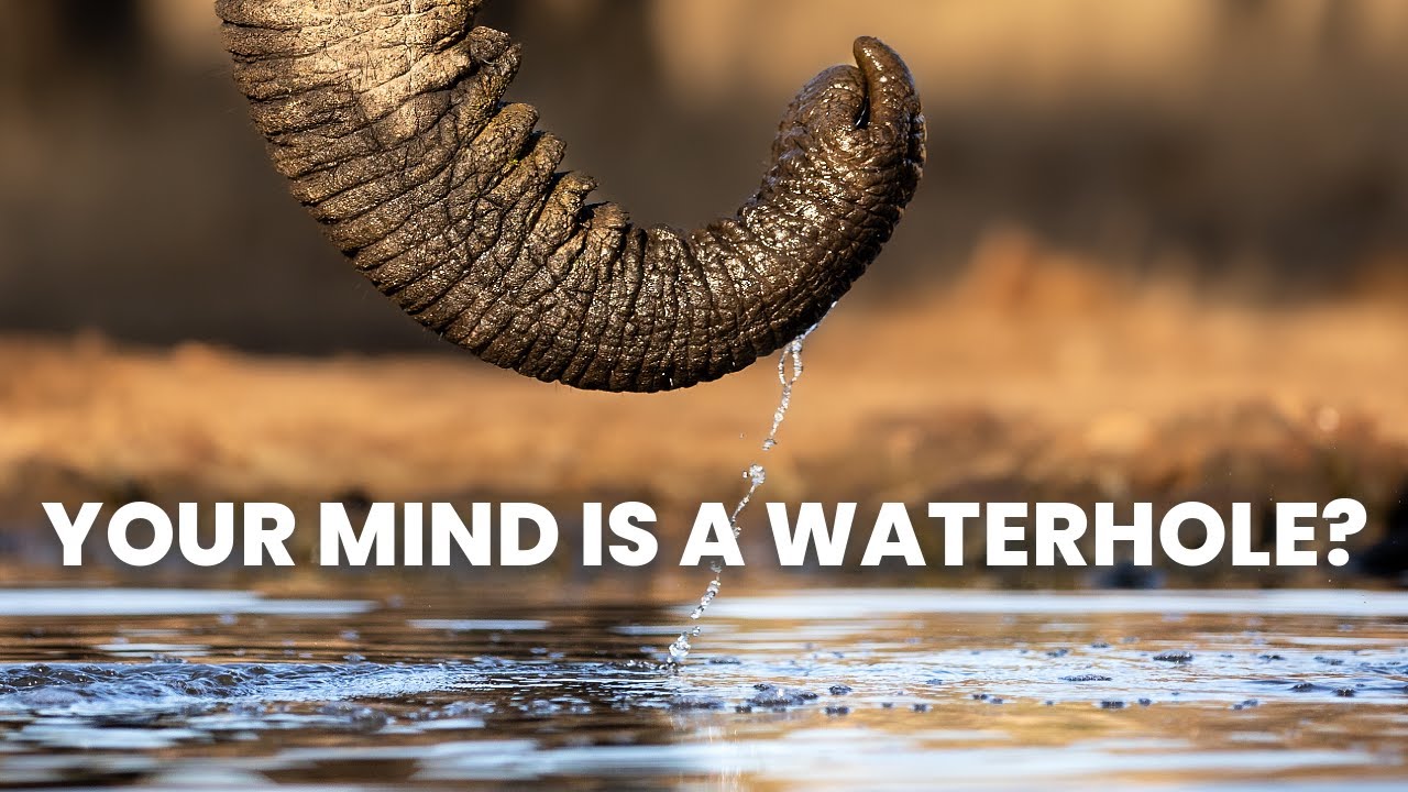 Thoughts from a Waterhole in Africa