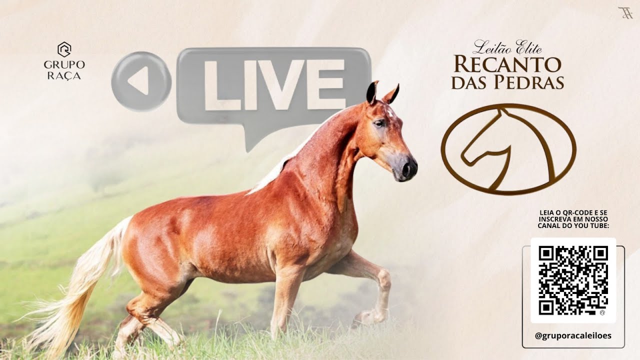LIVE DE CRIA&Ccedil;&Atilde;O - HARAS RECANTO DAS PEDRAS