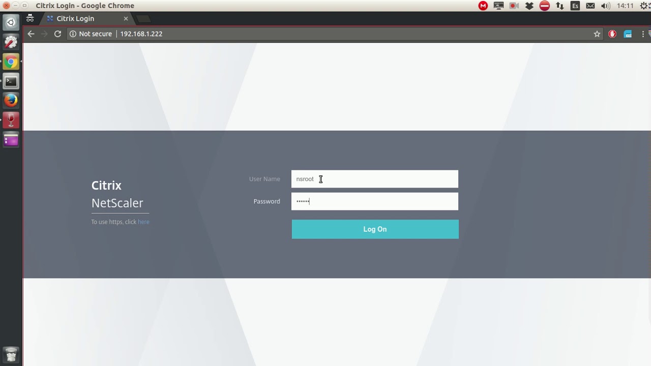 Netscaler SNIP setup