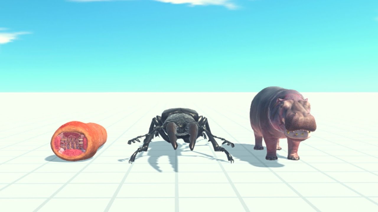 900 HP Team Vs Every Unit ARBS | Animal Revolt Battle Simulator