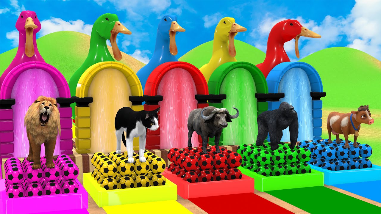 Long Slide Game With Cow Elephant Gorilla Hippopotamus Tiger 3d Animal Game Funny 3d Animals
