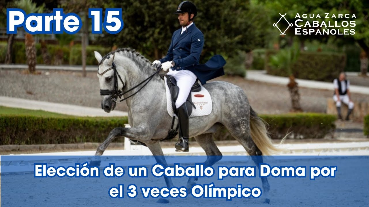 Elección de un Caballo para Doma por el 3 veces Olímpico Daniel Martín Dockx P15
