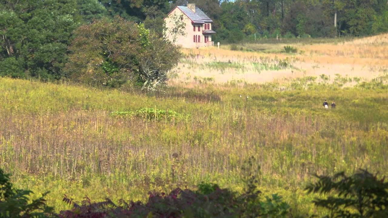 Meadow Garden at Longwood Gardens