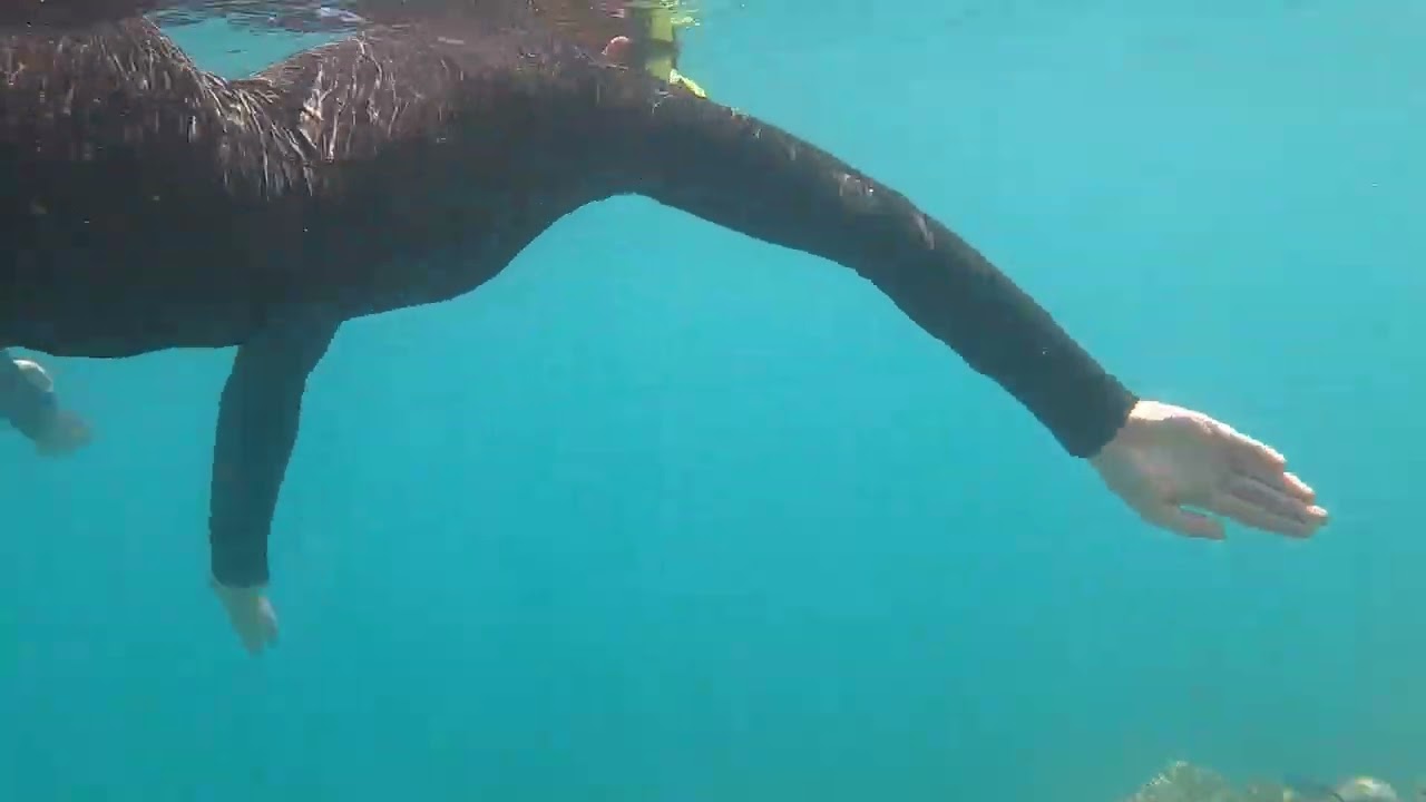 Underwater Australia