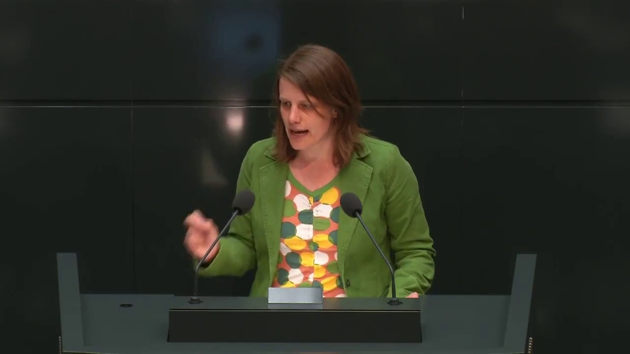 Julia Hamburg, MdL: 