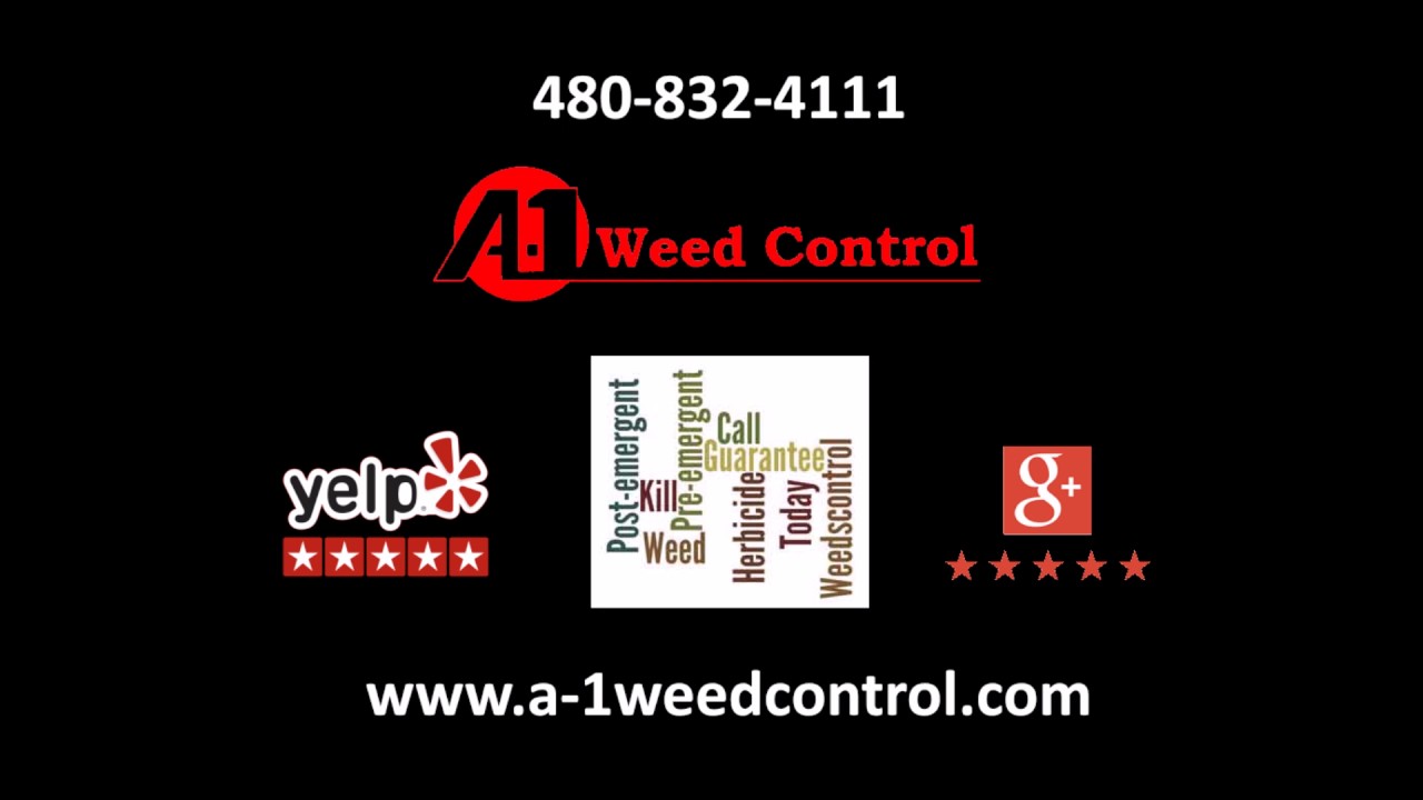A-1 Weed Control Removal Mesa AZ