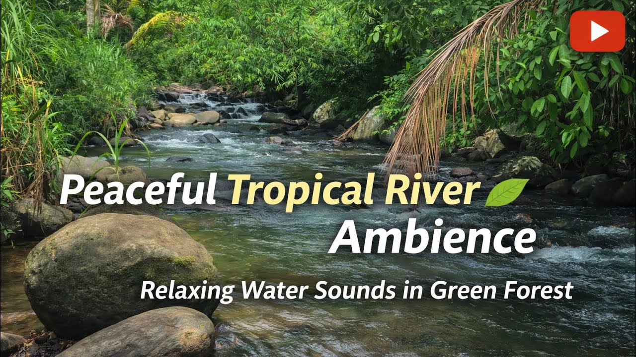 Relaxing River Sounds in Tropical Forest 🌿
