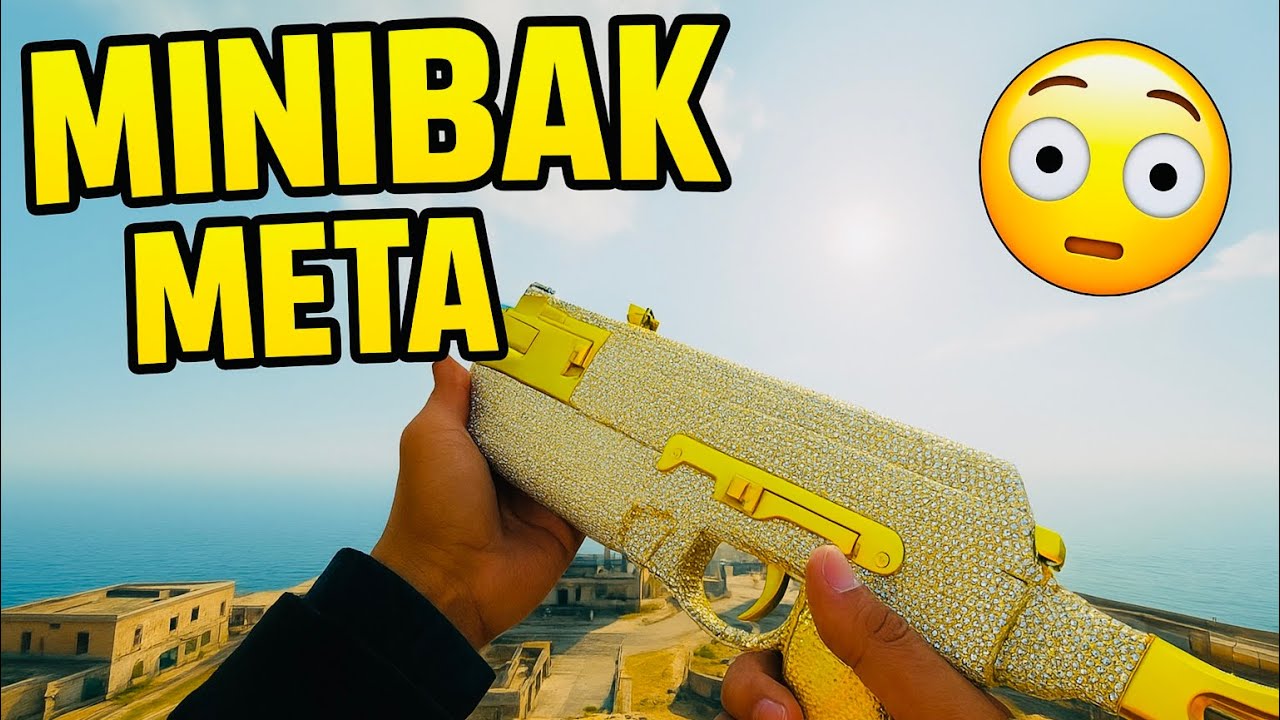 Is The Buffed Minibak Meta On Rebirth Island🤔⁉️