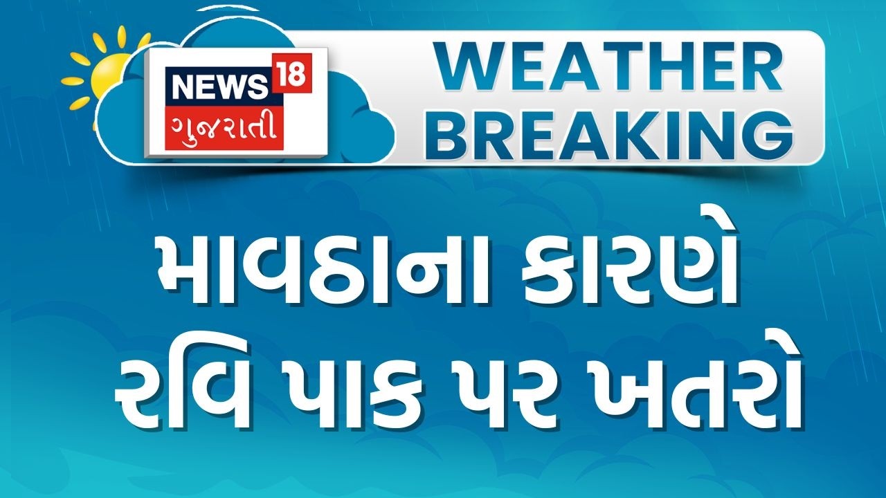 Gujarat Unseasonal Rain | માવઠાના કારણે રવિ પાક પર ખતરો | Farmers Loss | Agriculture | Gujarat