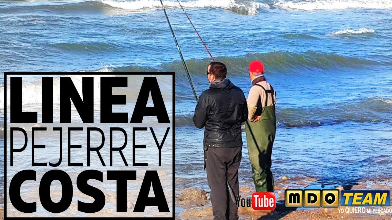 Linea para pejerrey de costa - SURFCASTING