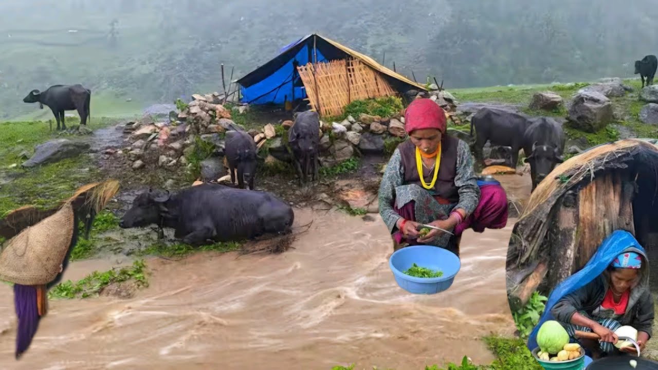 Heavy Rainy in An Nepali Traditional Homestead| HomeMade Buffalo Soup for This Cold Weather | 