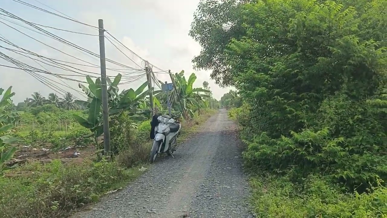 Ms 363 23,5x155 dt 3566mz đất vườn 2t368triu tl Sài Gòn 32km làm nhà vườn hết ý LH 0963915438