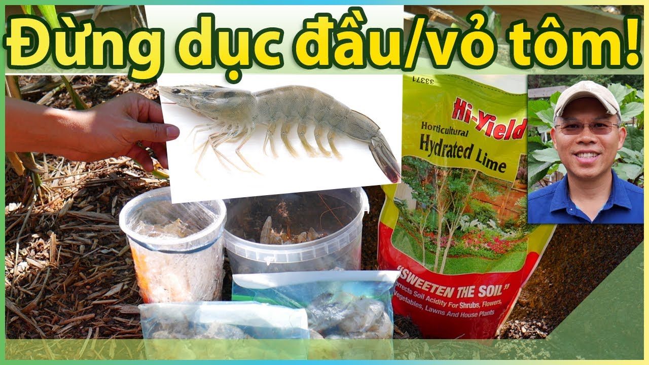 Đừng bỏ ĐẦU/VỎ TÔM! Hãy dùng cho vườn tốt.